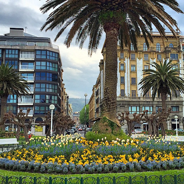 Temporada de tulipanes.  #SanSebastian
